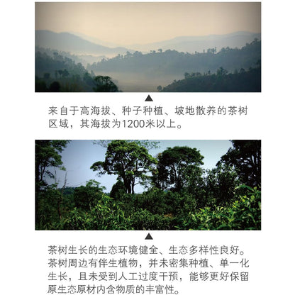 Douji 2014 Dadou Raw Puerh Tea Cake 357g - Aged Xishuangbanna Small Arbor Tree Spring Tea