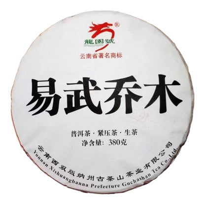 Longyuan Hao Yiwu Arbor 2016 Raw Pu-Erh Tea Cake 380g