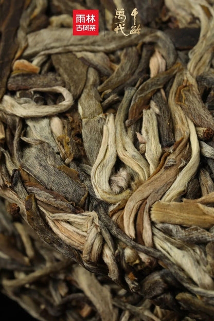 Yulin Ancient Tea 2019 Qian Ling Wan Dai Banzhang Extra Large Ancient Tree Raw Puerh Tea Premium Cake 357g