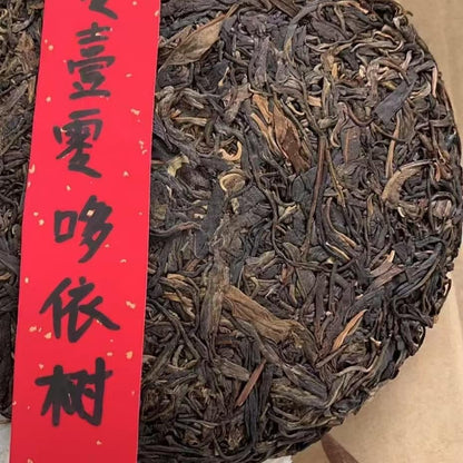 2010 Doi Tree High Pole Raw Pu-erh Tea Cake, 357g, from Yunnan