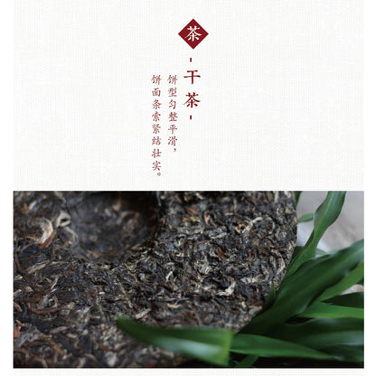 Douji 2014 Qixing Beidou Pu-erh Tea Cake, 400g Raw Pu-erh (Sheng)
