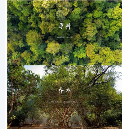 2022 Qiaomu Yuan Raw Pu-erh Tea Cake, 357g, from Yunnan