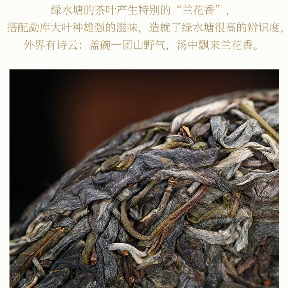 Sheng Jia Yuan Green Pond 2022 Raw Pu-Erh Tea Cake 357g
