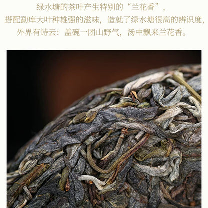 Sheng Jia Yuan Green Pond 2022 Raw Pu-Erh Tea Cake 357g