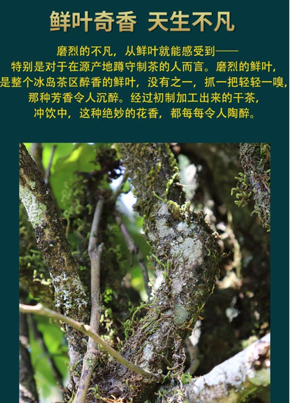 Puerh,2020,陸湯,磨烈,357g,Raw