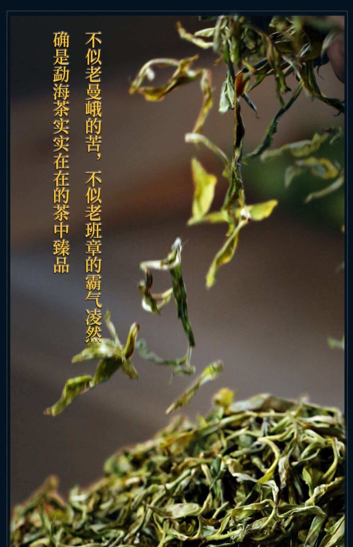Sheng Jiayuan 2020 He Kai Raw Pu-Erh Tea Cake 357g – Aged Sheng Puerh from He Kai Mountain, Yunnan