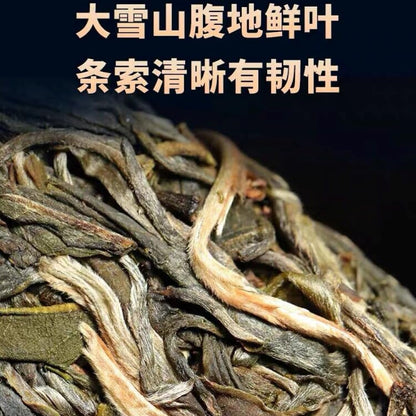 2023 Single Plant Raw Pu-erh Tea Cake, 357g, from Daxue Mountain, Yunnan