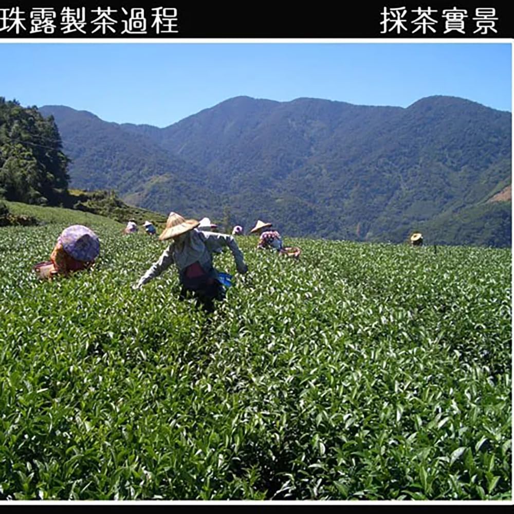 Taiwan unique tea,Chin-Shin-Oolong,阿里山珠露茶 Alishan Tea,300g*2