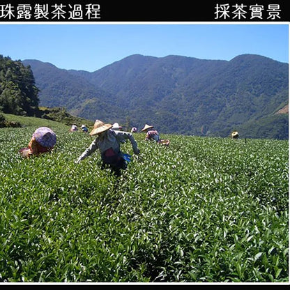 Taiwan unique tea,Chin-Shin-Oolong,阿里山珠露茶 Alishan Tea,300g*2