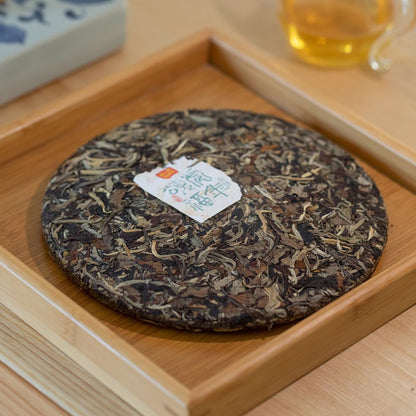 Rainforest Ancient Tree 2021 Tiger Year Blessing Ancient Tree White Tea Cake – 357g Premium White Tea