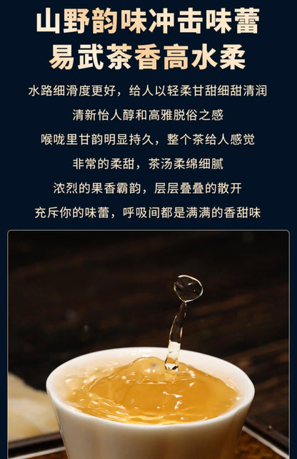 2020 Sheng Jia Yuan Yiwu Ma Black Raw Pu-erh Tea Cake, 357g, from Yunnan