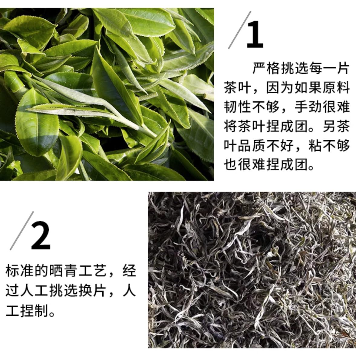 Sheng Jiayuan Bingdao Bawai Raw Pu-erh Tea Dragon Pearls, Ancient Tree Mini Tuocha, 500g Gift Box
