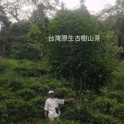 Taiwan indigenous wild tea,六龜藤枝 Liugui Tengzhi,Large-leaf black tea,75g*4