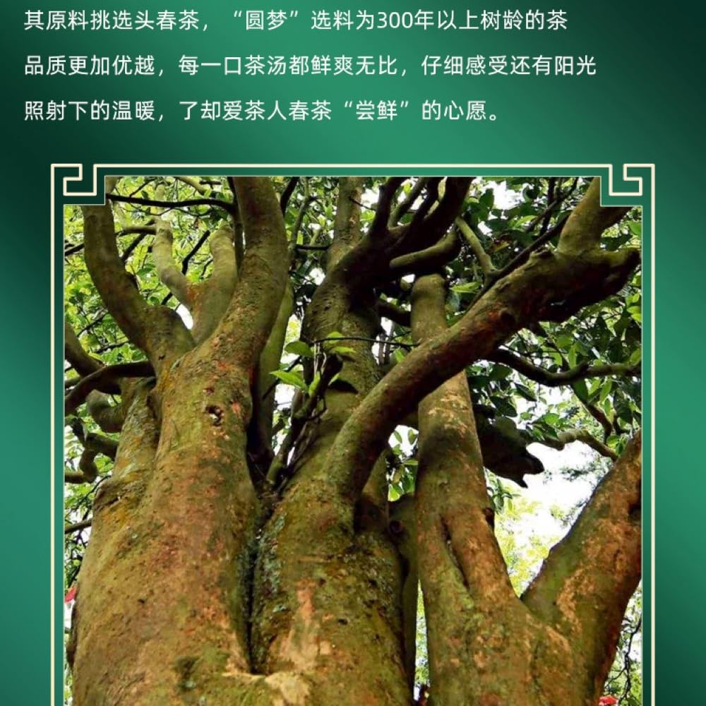 2020 Chen Sheng Hao Yuan Meng Raw Pu-erh Tea Cake, 357g, from Yunnan