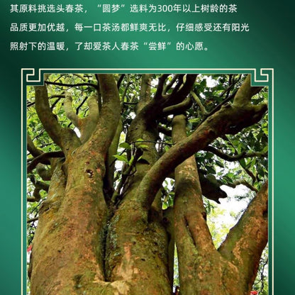 2020 Chen Sheng Hao Yuan Meng Raw Pu-erh Tea Cake, 357g, from Yunnan