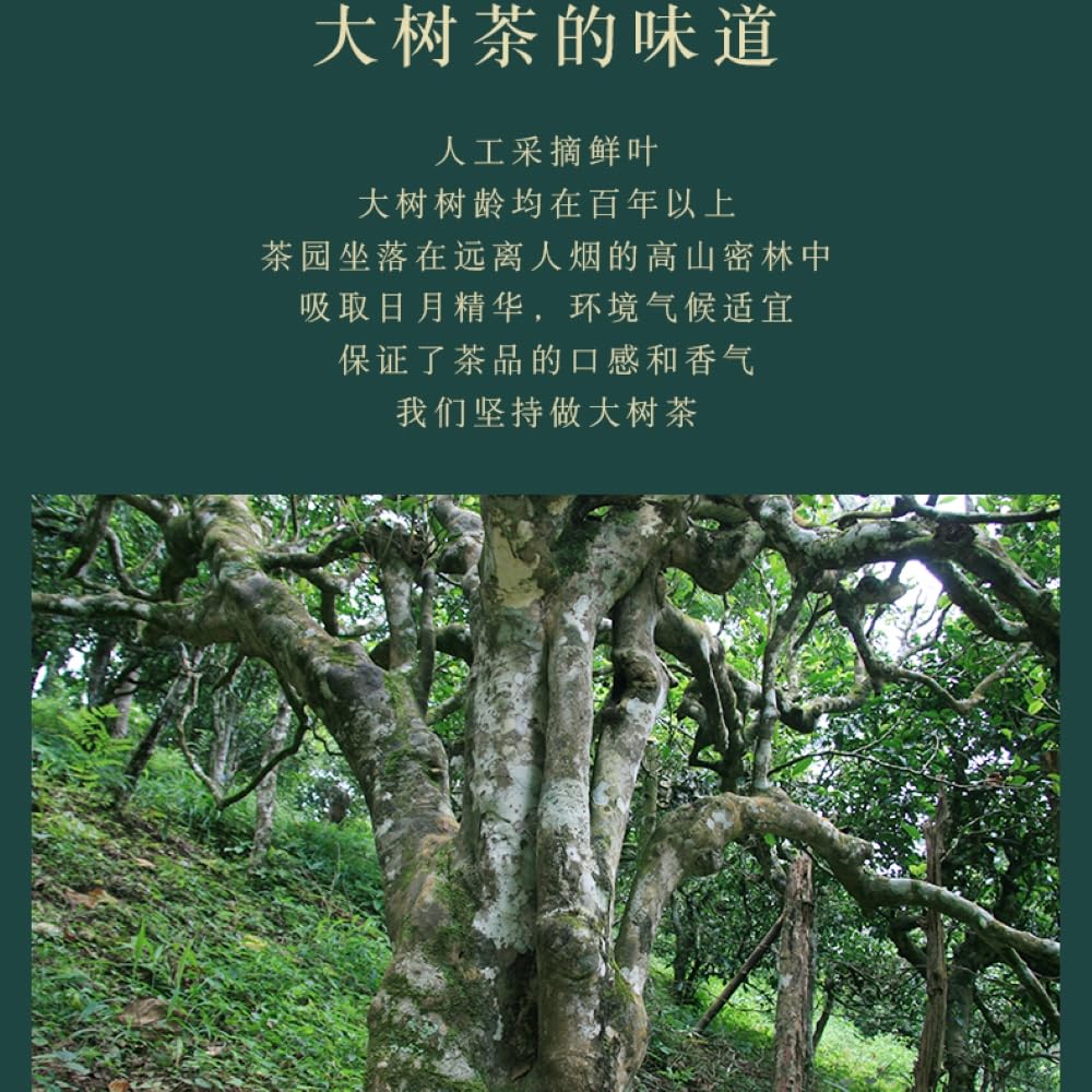 Chen Sheng Hao Year of the Dog Zodiac Raw Pu-Erh Tea 2018 – 500g