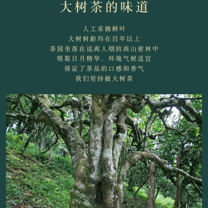 Chen Sheng Hao Year of the Dog Zodiac Raw Pu-Erh Tea 2018 – 500g
