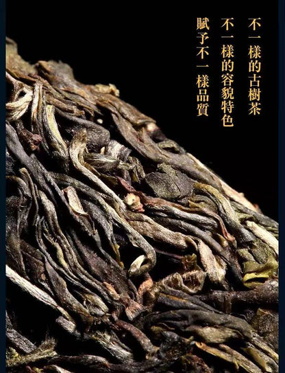 2017 Jingmai Mountain Pure Ancient Tree Raw Pu-erh Tea Cake, 357g, from Yunnan