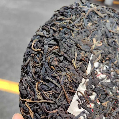 2003 Aged Raw Pu-erh Tea Cake (357g) – Premium Jingmai Ancient Tree "Export Edition"