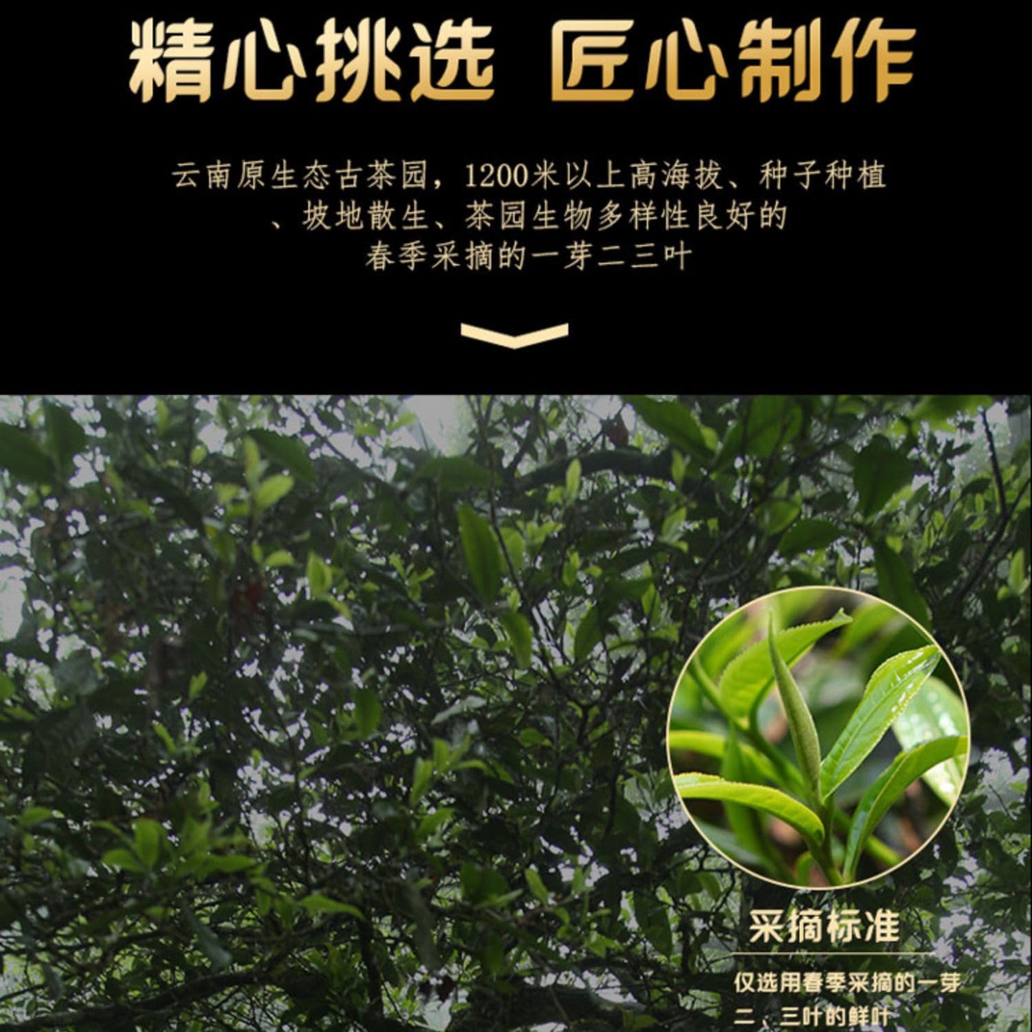 2022 Douji Mo Xiang Wang Ripe Pu-erh Tea Cake, 357g, from Yunnan