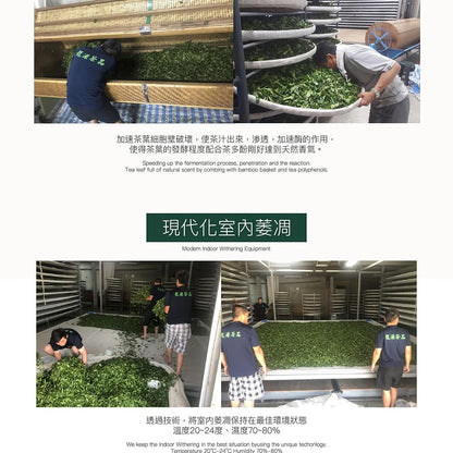 Taiwan unique tea,奇萊山高冷青烏龍茶葉 Qilai Mountain Oolong Tea,150g*4