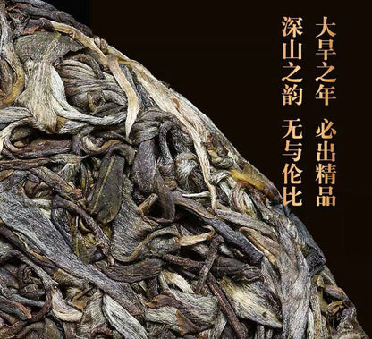 2020 Bohe Tang Raw Pu-erh Tea Cake, 357g, from Yunnan
