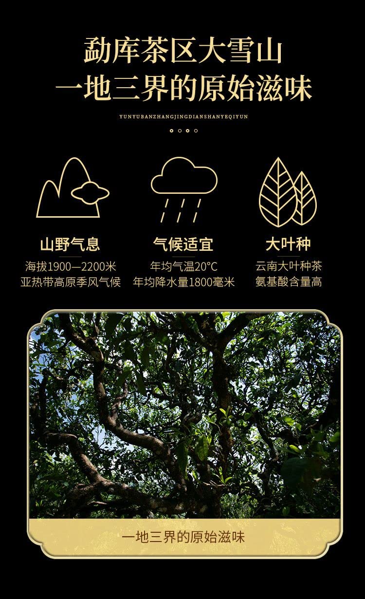 Lu Tang 2020 Diji Raw Pu-Erh Tea – 357g (12.6oz) Sheng Puerh Cake – Premium Chinese Tea