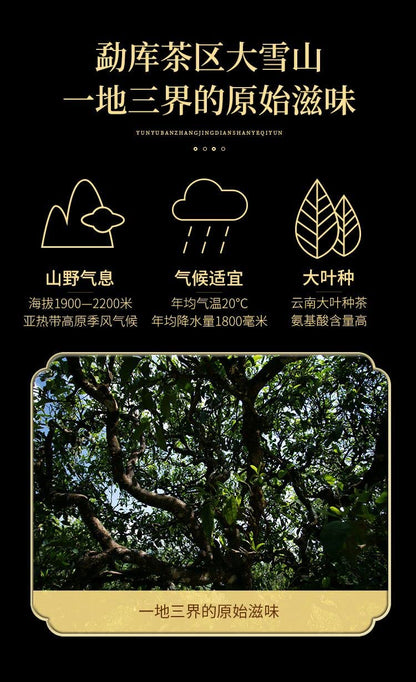 Lu Tang 2020 Diji Raw Pu-Erh Tea – 357g (12.6oz) Sheng Puerh Cake – Premium Chinese Tea