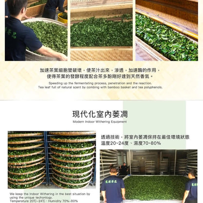 Taiwan unique tea,梨山雪綠嫩芽茶香烏龍茶 Lishan Oolong Tea,150g*4