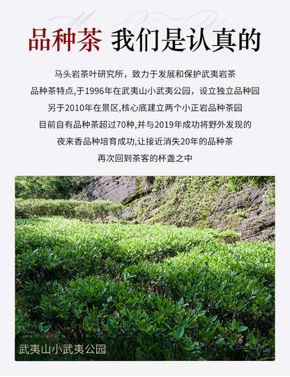 武夷岩茶,四大名叢,鐵羅漢,50g*8,Shipped from China