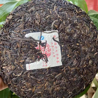 Fujin Tea Factory Zhen Cang Qing Bing Raw Pu-Erh Tea 2012 – 357g