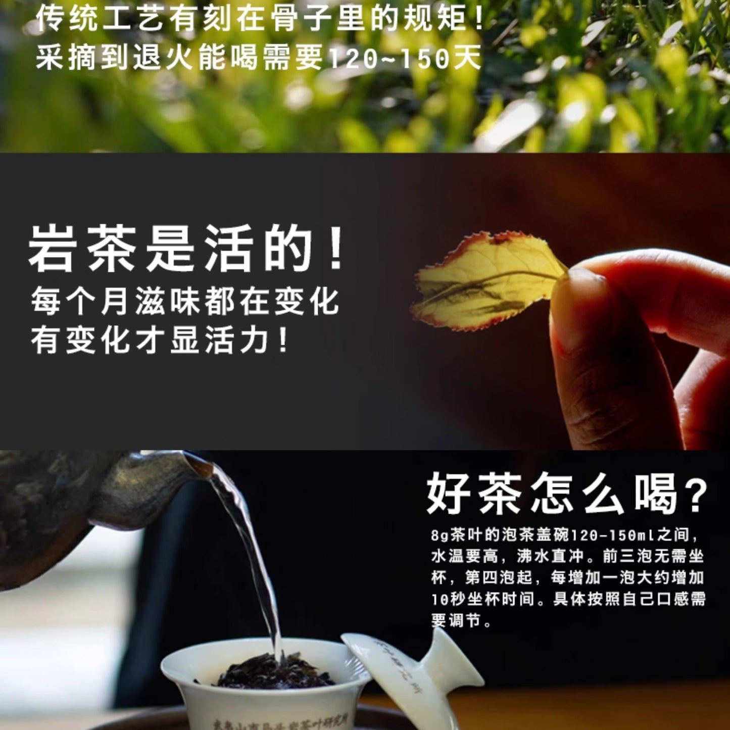武夷岩茶– Ma Tou Yan Rou Gui, Osmanthus Aroma, 100g (Black Tin)