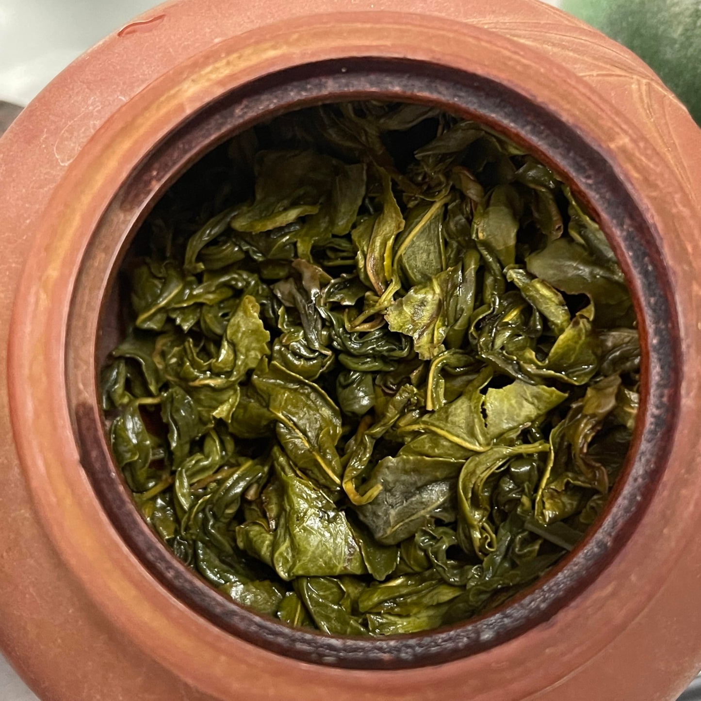 Authentic Gangkou Tea, Snow Pear Variety, 300g × 2