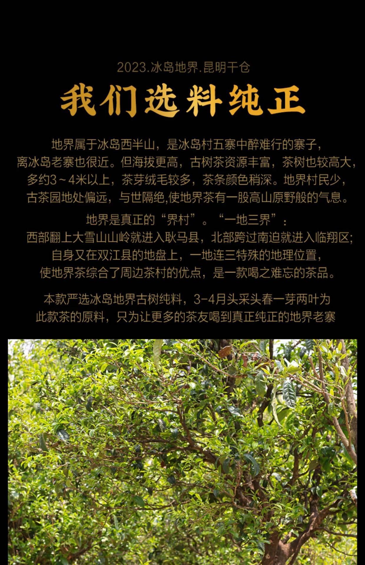 2023 Iceland Di Jie Raw Pu-erh Tea Cake, 357g, from Yunnan