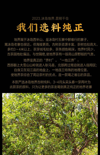 2023 Iceland Di Jie Raw Pu-erh Tea Cake, 357g, from Yunnan
