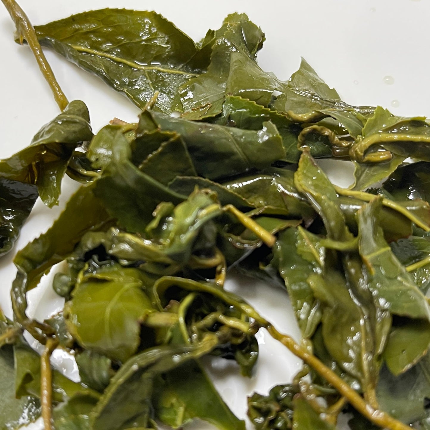 Taiwan unique tea,Chin-Shin-Oolong,梨山水源頭 Lishan water source,75g*8