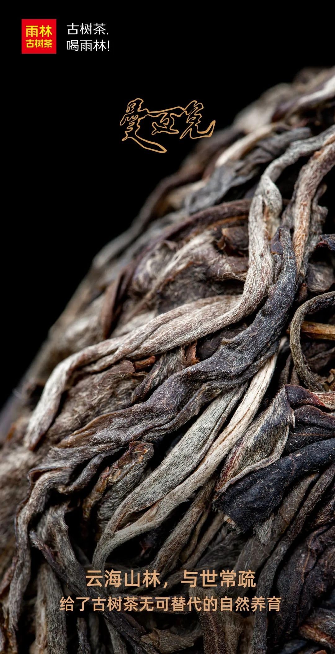 Yulin 2020 ManMaiDui Ancient Tree Raw Puer Tea Cake 150g*5
