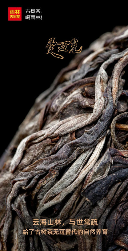 Yulin 2020 ManMaiDui Ancient Tree Raw Puer Tea Cake 150g*5