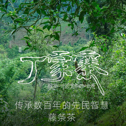 Rainforest Ancient Tree 2021 Dingjiazhai Raw Pu-Erh Tea Cake – 357g Premium Sheng Puerh