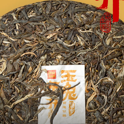 Pu-Erh tea,Rainforest Ancient Tree Tea,2023,玉兔東升 Jade Rabbit Dongsheng,357g,Raw