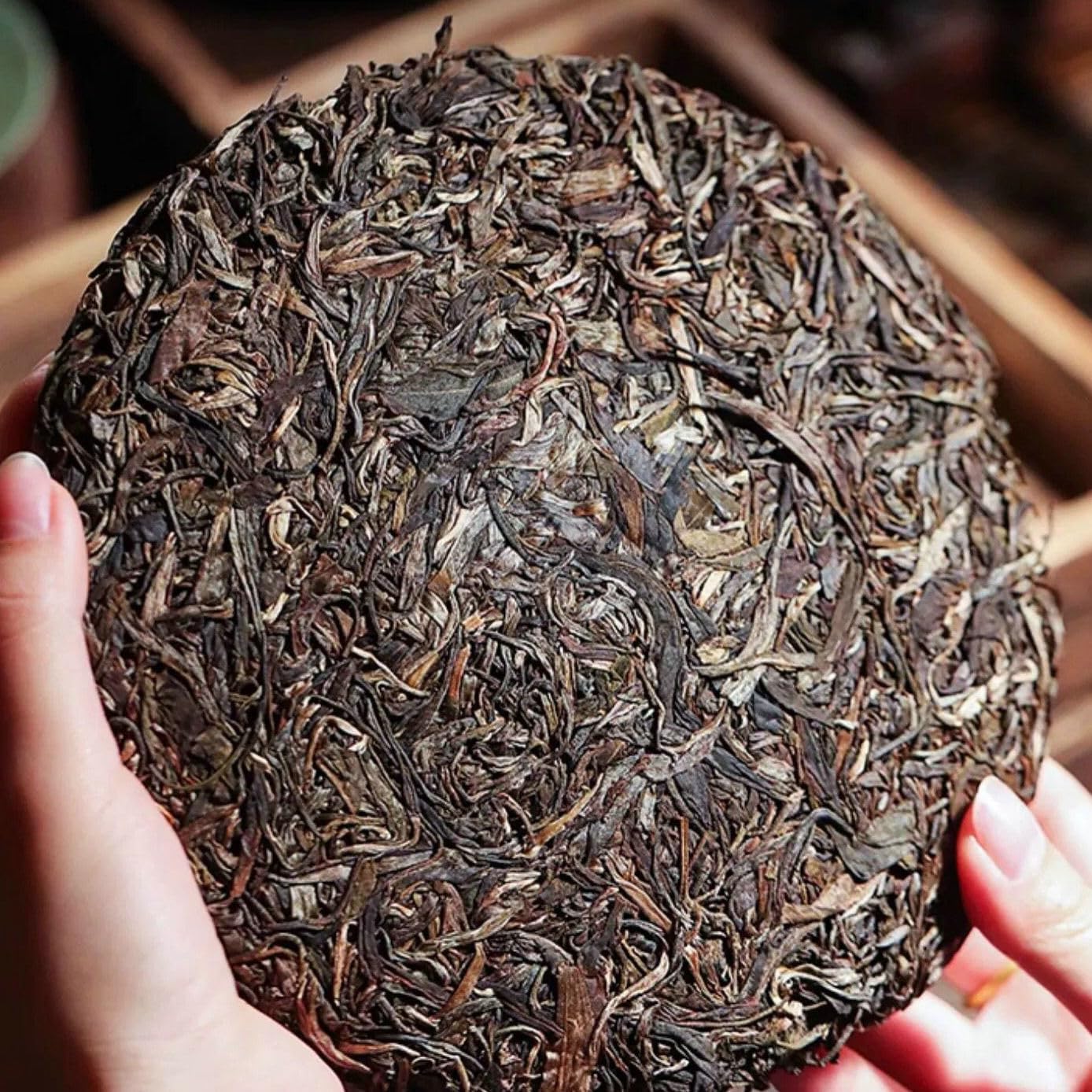 2012 Yiwu Bohuetang Single Bush Raw Pu-erh Tea Cake, 357g, from Yunnan