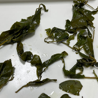 Taiwan unique tea,Chin-Shin-Oolong,梨山水源頭 Lishan water source,75g*8