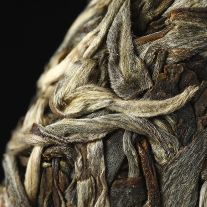 Yulin 2019 Old Banzhang Ancient Tree Raw Pu-erh Tea Cake (357g)