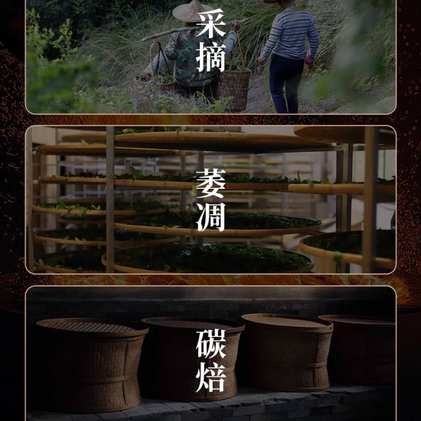 武夷岩茶– Ma Tou Yan Rou Gui, Osmanthus Aroma, 100g (Black Tin)