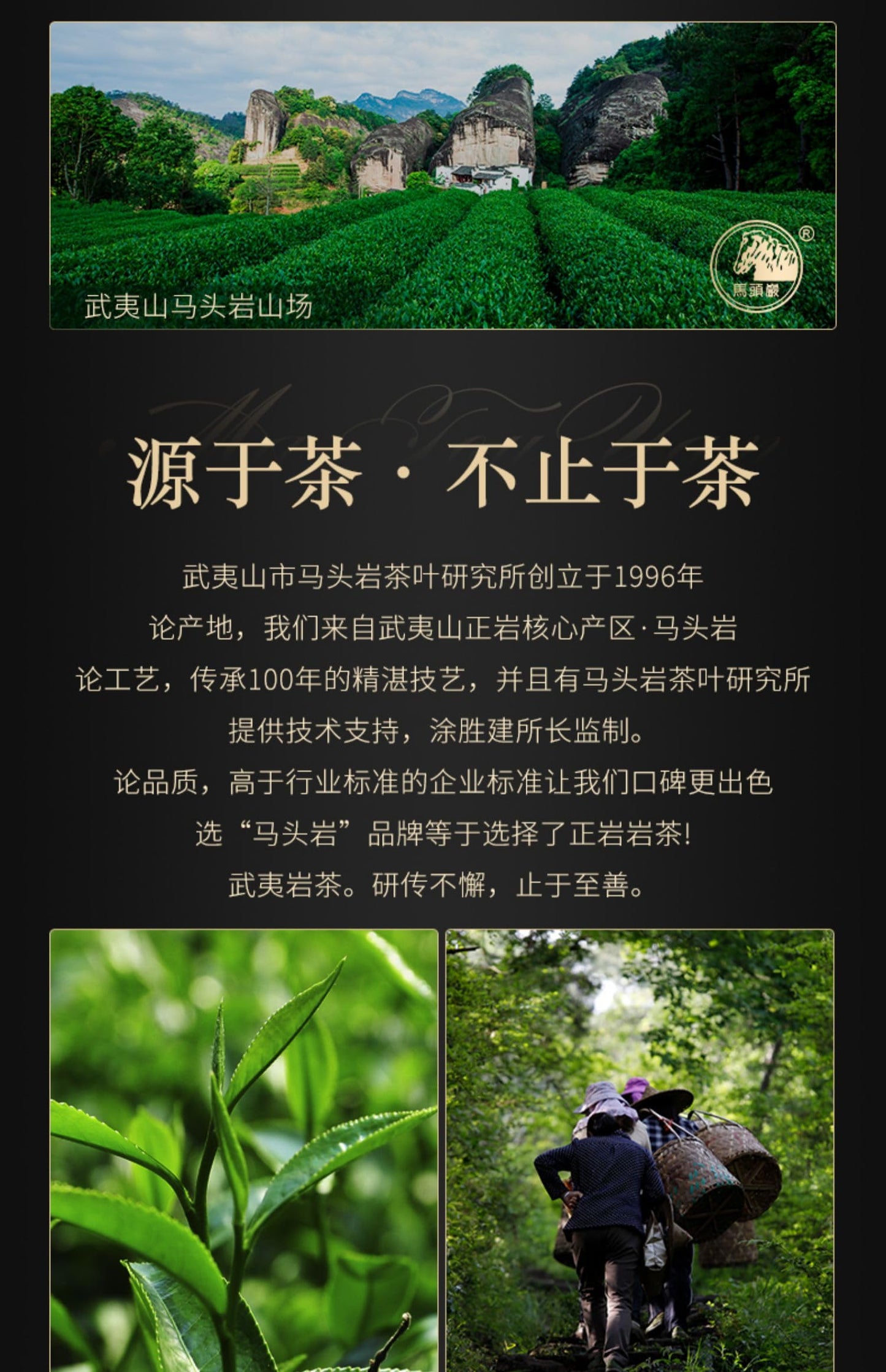 武夷岩茶– Wuyuanjian Rougui Tea Box, 108g