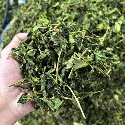 Taiwan unique tea,Chin-Shin-Oolong,大禹嶺冬茶 Dayuling Winter Tea,75g*8