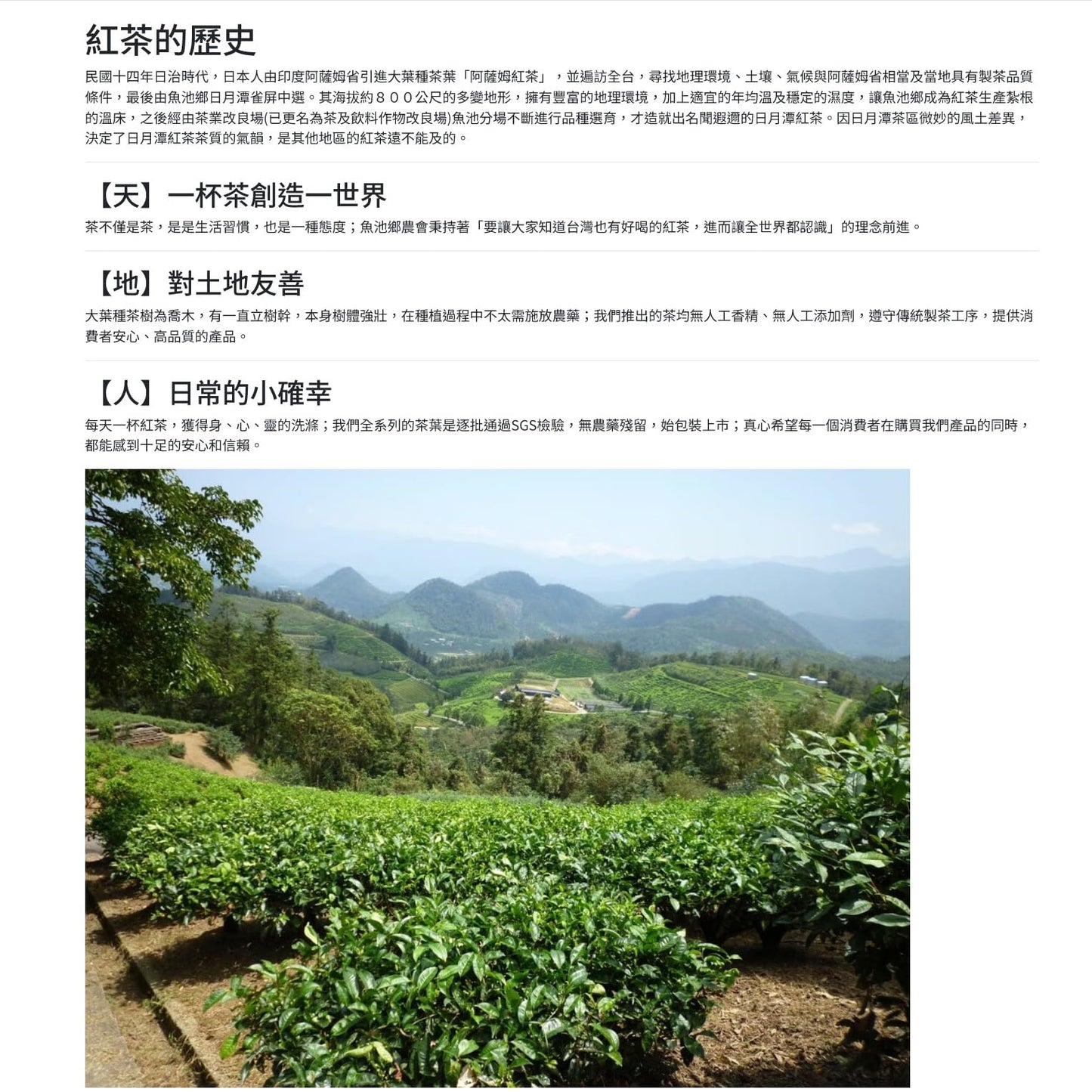 Taiwan Yuchi Farmers' Association Sun Moon Lake Taiwanese Mountain Tea – Hidden Bud Black Tea, 100g*6