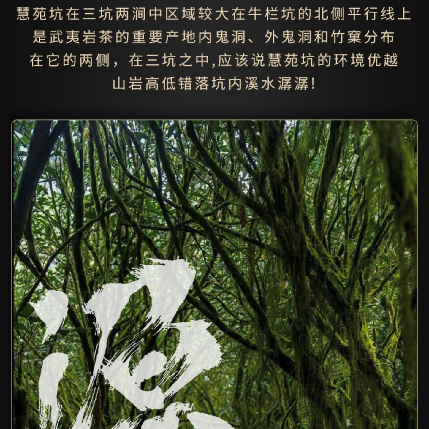 武夷岩茶– Hui Yuan Keng Lao Cong Shui Xian Gift Box, Floral Rock Aroma, 108g