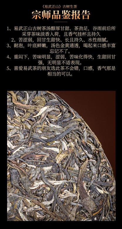2019 Qingzhong Ancient Tree Yiwu Zhengshan Raw Pu-erh Tea Cake, 357g, from Yunnan