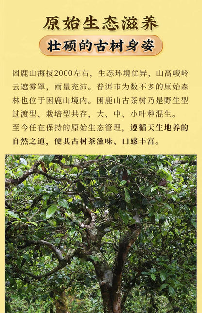 2020 Sheng Jia Yuan Sleepy Deer Mountain Raw Pu-erh Tea Cake, 357g, from Yunnan